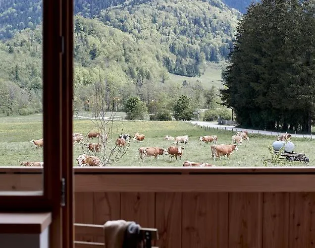 Lejlighed Der Schmiedhof Bayrischzell